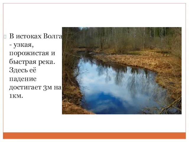 В истоках Волга - узкая, порожистая и быстрая река. Здесь её падение достигает 3м на 1км.