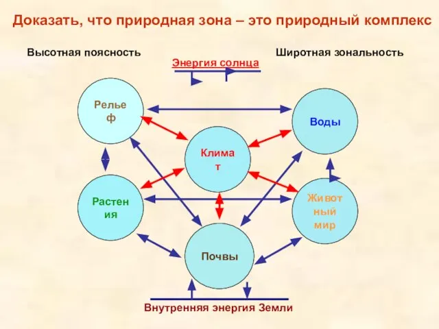 Доказать, что природная зона – это природный комплекс Рельеф Климат Воды Растения