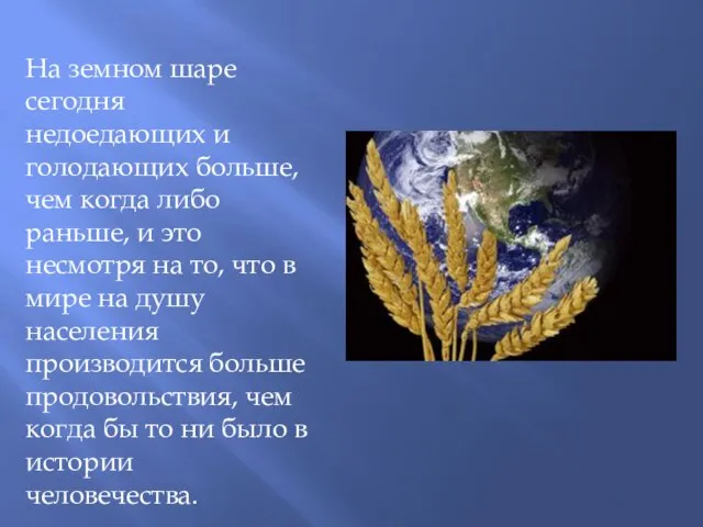 На земном шаре сегодня недоедающих и голодающих больше, чем когда либо раньше,