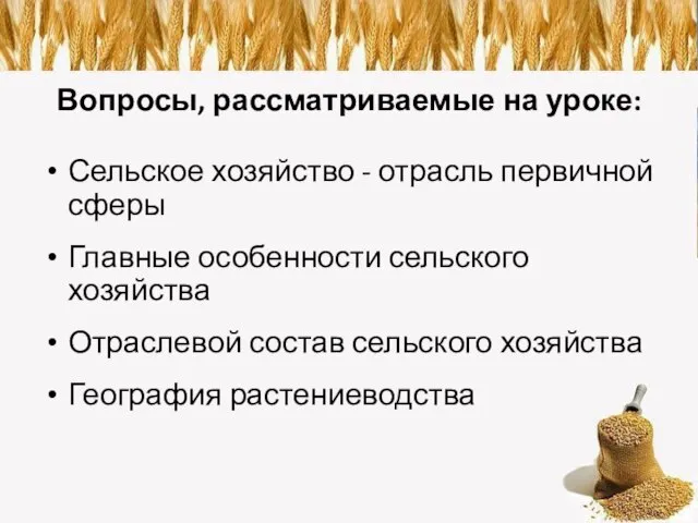 Вопросы, рассматриваемые на уроке: Сельское хозяйство - отрасль первичной сферы Главные особенности