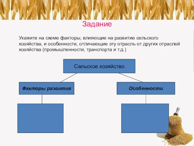 Задание Укажите на схеме факторы, влияющие на развитие сельского хозяйства, и особенности,