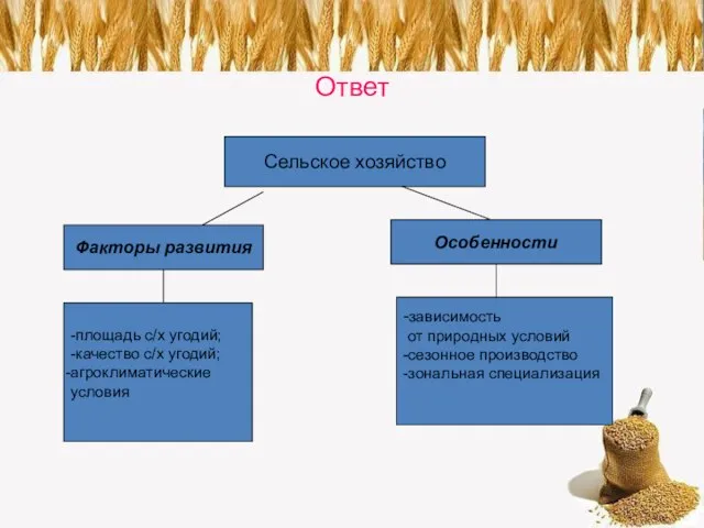 Ответ Сельское хозяйство Факторы развития Особенности -площадь с/х угодий; -качество с/х угодий;