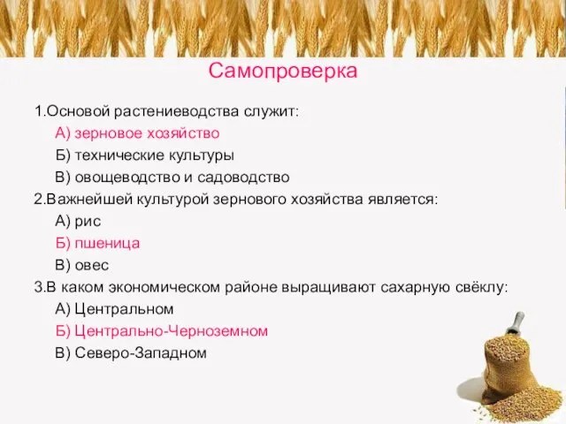 Самопроверка 1.Основой растениеводства служит: А) зерновое хозяйство Б) технические культуры В) овощеводство