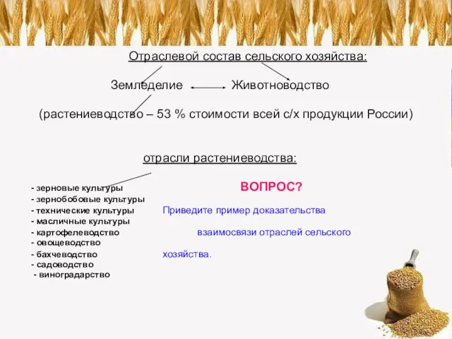 Отраслевой состав сельского хозяйства: Земледелие Животноводство (растениеводство – 53 % стоимости всей