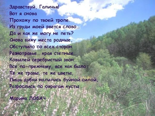 Здравствуй, Галичья! Вот я снова Прохожу по твоей тропе. Из груди моей