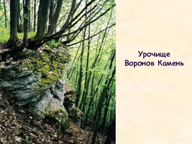 Урочище Воронов Камень