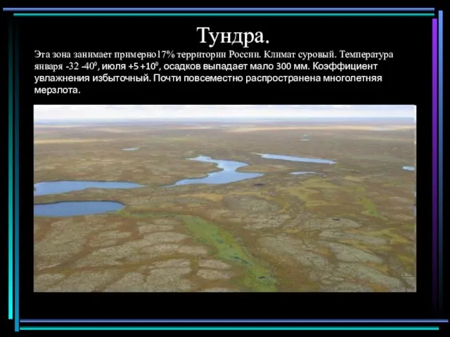Тундра. Эта зона занимает примерно17% территории России. Климат суровый. Температура января -32