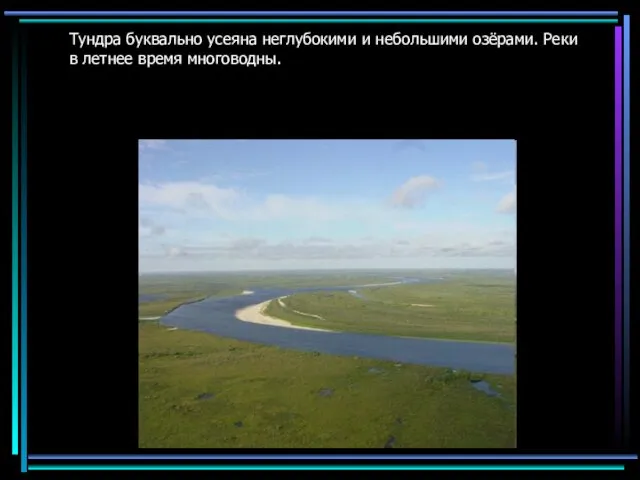 Тундра буквально усеяна неглубокими и небольшими озёрами. Реки в летнее время многоводны.