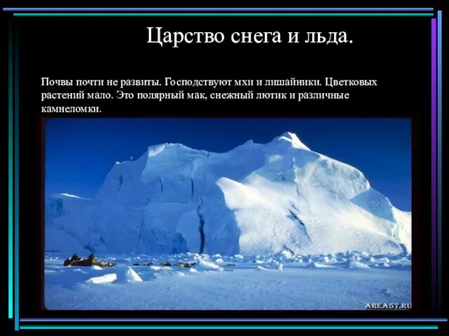 Царство снега и льда. Почвы почти не развиты. Господствуют мхи и лишайники.