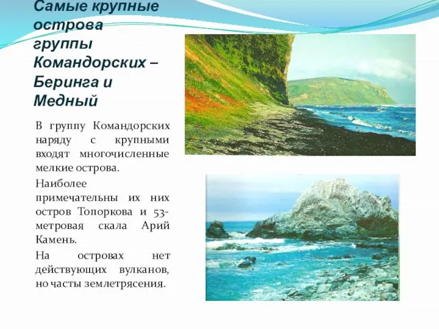 Самые крупные острова группы Командорских – Беринга и Медный В группу Командорских