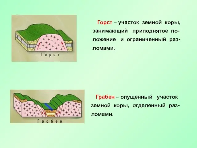 Горст – участок земной коры, занимающий приподнятое по- ложение и ограниченный раз-