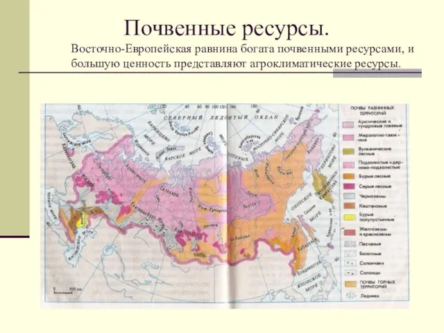 Почвенные ресурсы. Восточно-Европейская равнина богата почвенными ресурсами, и большую ценность представляют агроклиматические ресурсы.