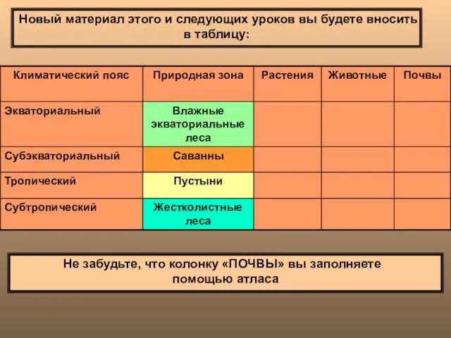 Новый материал этого и следующих уроков вы будете вносить в таблицу: Не