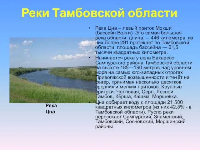 Реки Тамбовской области Река Цна – левый приток Мокши (бассейн Волги). Это