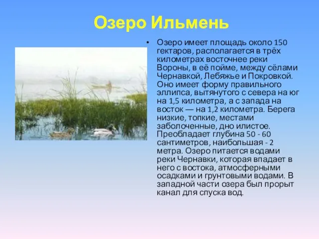 Озеро Ильмень Озеро имеет площадь около 150 гектаров, располагается в трёх километрах