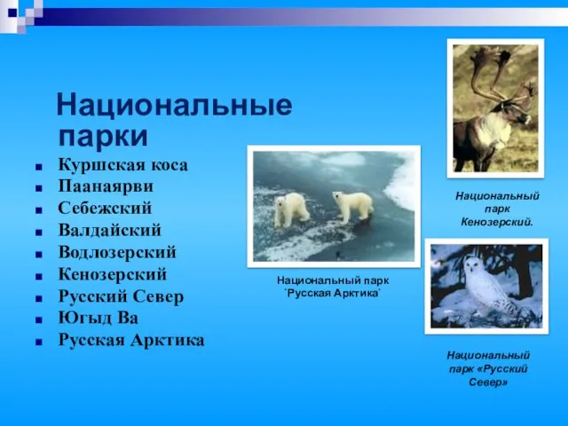 Национальные парки Куршская коса Паанаярви Себежский Валдайский Водлозерский Кенозерский Русский Север Югыд