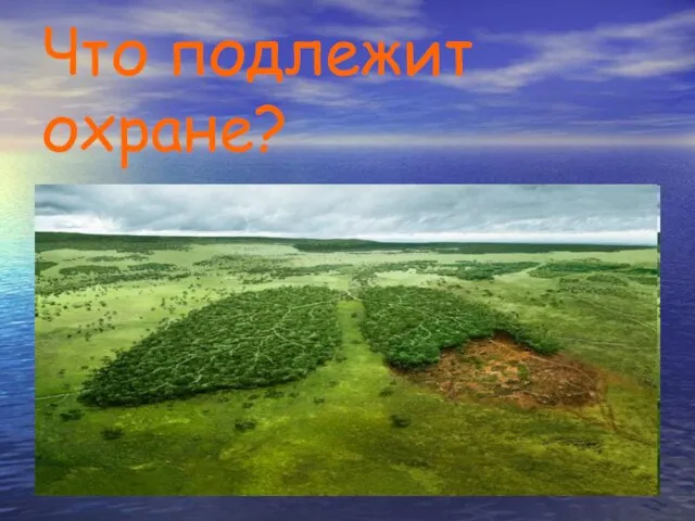 Что подлежит охране?