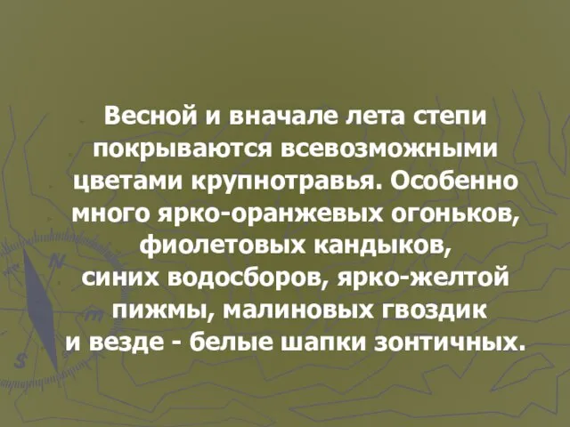 Весной и вначале лета степи покрываются всевозможными цветами крупнотравья. Особенно много ярко-оранжевых