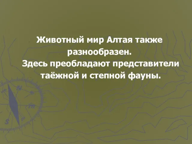 Животный мир Алтая также разнообразен. Здесь преобладают представители таёжной и степной фауны.