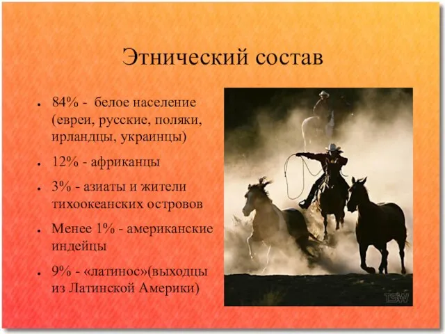 Этнический состав 84% - белое население (евреи, русские, поляки, ирландцы, украинцы) 12%