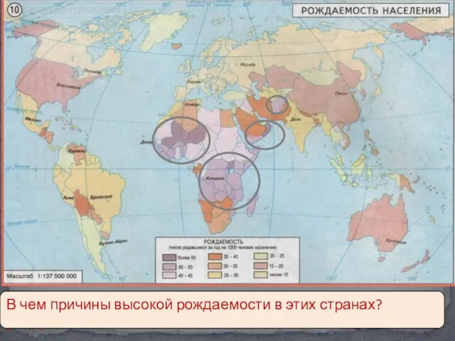 Какие страны резко выделяются по коэффициенту рождаемости? В чем причины высокой рождаемости в этих странах?