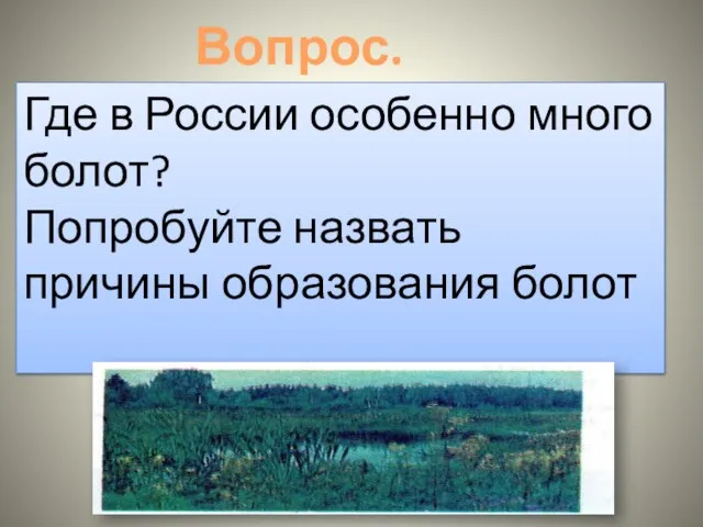 Вопрос. Где в России особенно много болот? Попробуйте назвать причины образования болот