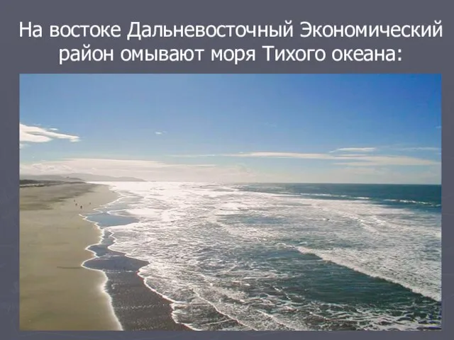 На востоке Дальневосточный Экономический район омывают моря Тихого океана: