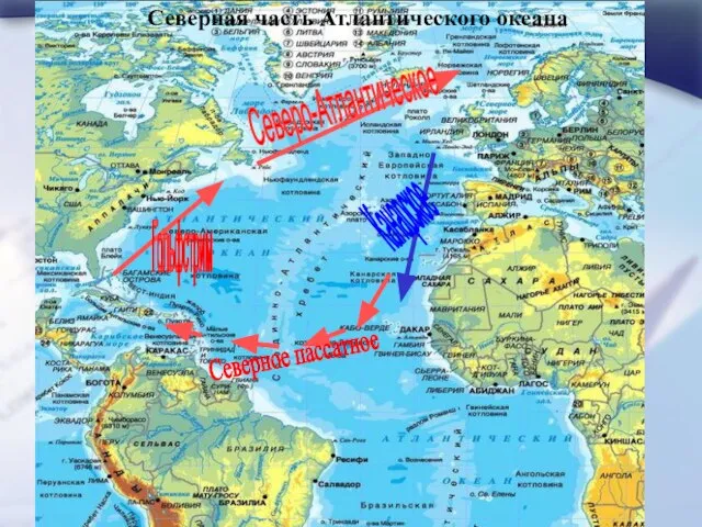 Северная часть Атлантического океана Гольфстрим Северо-Атлантическое Канарское Северное пассатное