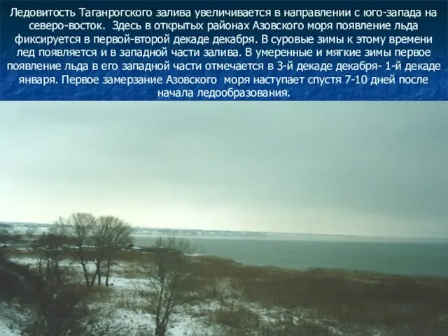 Ледовитость Таганрогского залива увеличивается в направлении с юго-запада на северо-восток. Здесь в