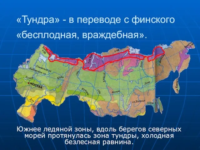 «Тундра» - в переводе с финского «бесплодная, враждебная». Южнее ледяной зоны, вдоль