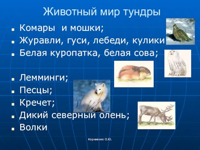 Корниенко О.Ю. Животный мир тундры Комары и мошки; Журавли, гуси, лебеди, кулики