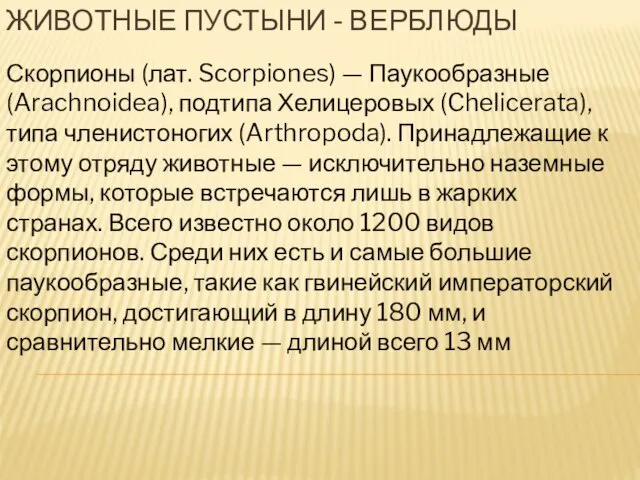 Животные пустыни - верблюды Скорпионы (лат. Scorpiones) — Паукообразные (Arachnoidea), подтипа Хелицеровых