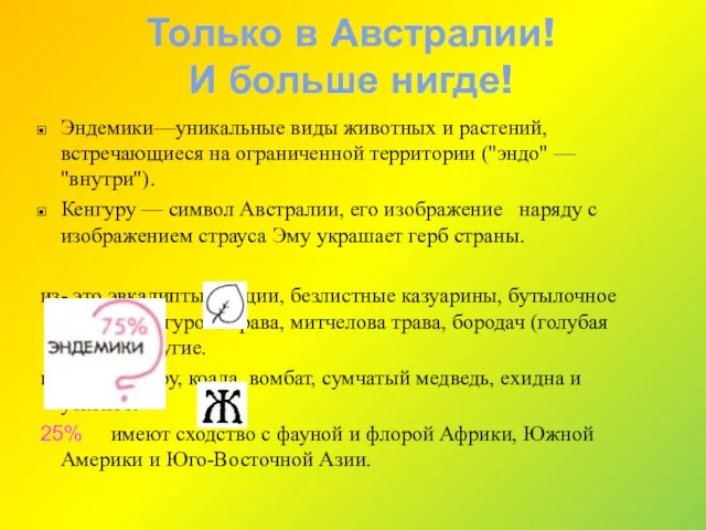 Только в Австралии! И больше нигде! Эндемики—уникальные виды животных и растений, встречающиеся