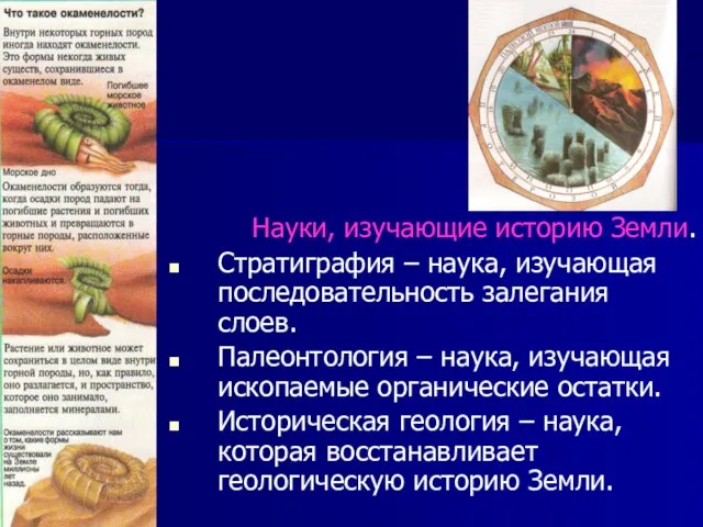 Науки, изучающие историю Земли. Стратиграфия – наука, изучающая последовательность залегания слоев. Палеонтология