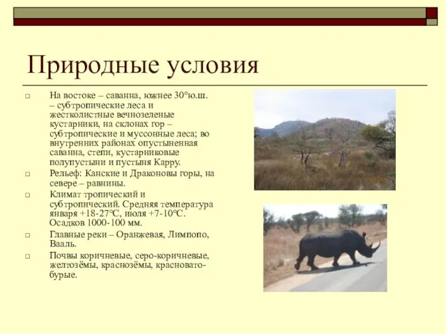 Природные условия На востоке – саванна, южнее 30°ю.ш. – субтропические леса и