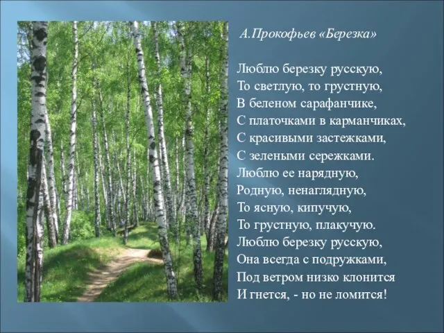 А.Прокофьев «Березка» Люблю березку русскую, То светлую, то грустную, В беленом сарафанчике,