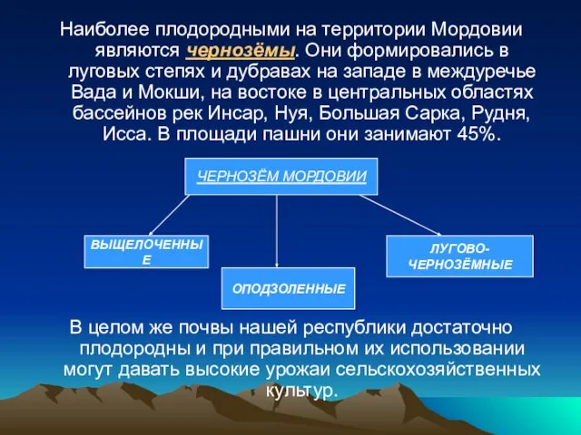 Наиболее плодородными на территории Мордовии являются чернозёмы. Они формировались в луговых степях