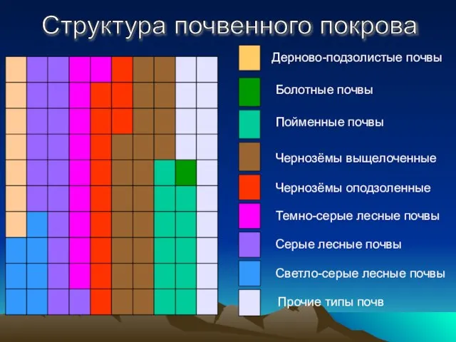 Структура почвенного покрова Дерново-подзолистые почвы Светло-серые лесные почвы Серые лесные почвы Темно-серые