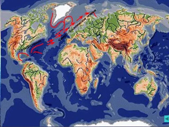 Гольфстрим Северо - Атлантическое течение
