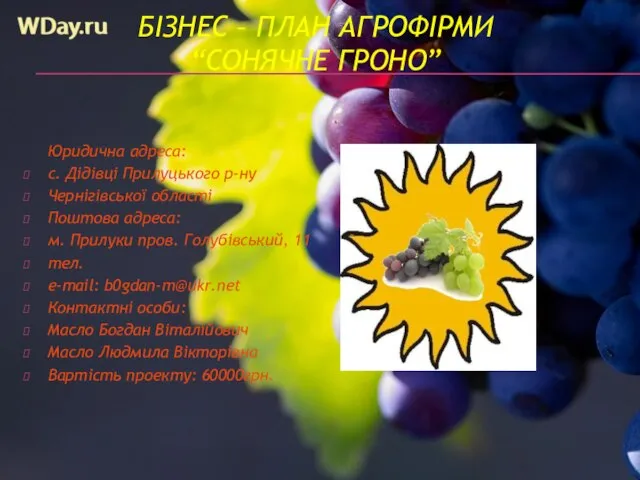 БІЗНЕС – ПЛАН АГРОФІРМИ “СОНЯЧНЕ ГРОНО” Юридична адреса: с. Дідівці Прилуцького р-ну