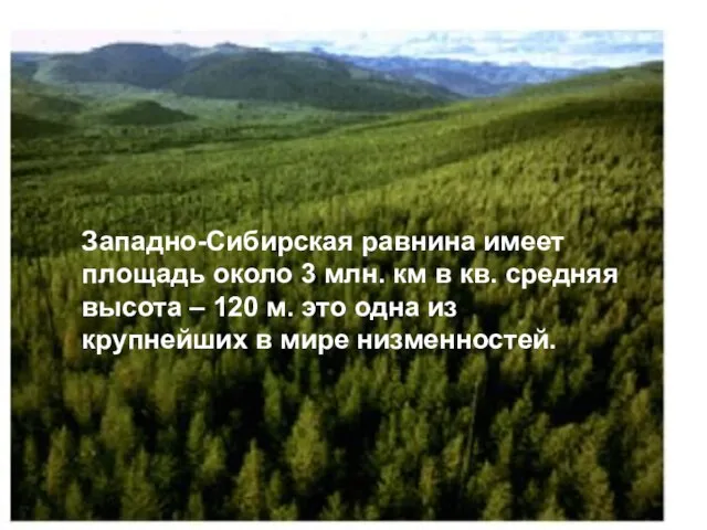 Западно-Сибирская равнина имеет площадь около 3 млн. км в кв. средняя высота