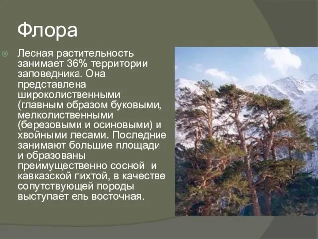 Флора Лесная растительность занимает 36% территории заповедника. Она представлена широколиственными (главным образом