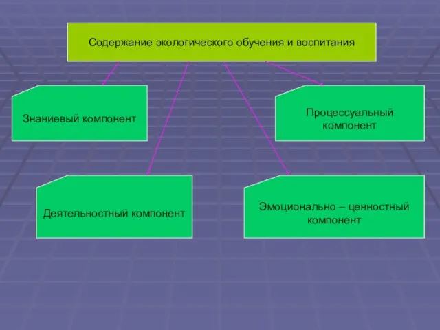 Содержание экологического обучения и воспитания Знаниевый компонент Деятельностный компонент Эмоционально – ценностный компонент Процессуальный компонент