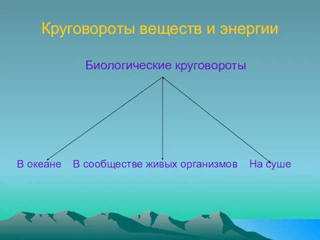 Круговороты веществ и энергии Биологические круговороты В океане В сообществе живых организмов На суше