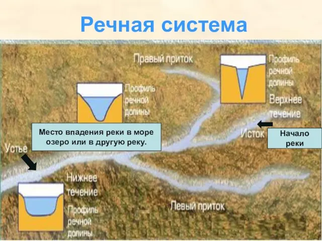 Речная система Место впадения реки в море озеро или в другую реку. Начало реки