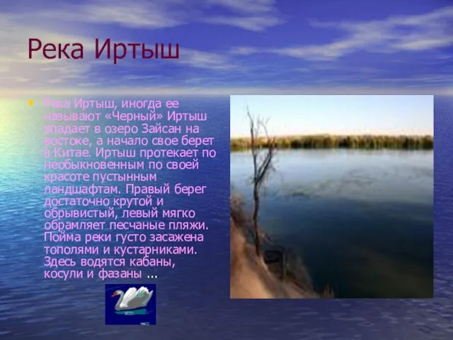 Река Иртыш Река Иртыш, иногда ее называют «Черный» Иртыш впадает в озеро