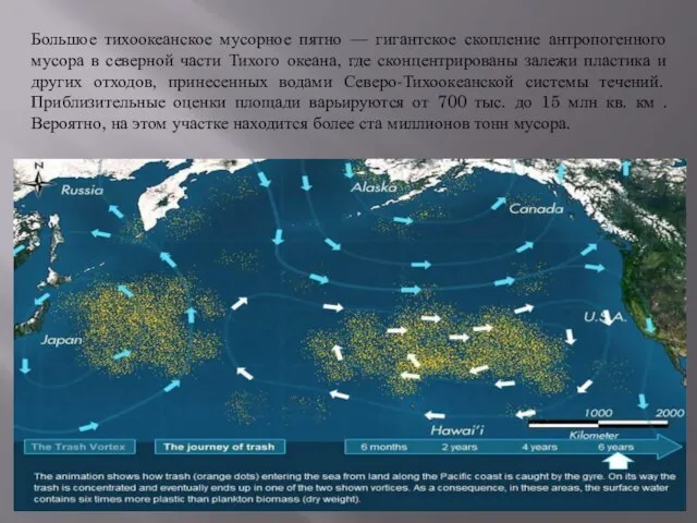 Большое тихоокеанское мусорное пятно — гигантское скопление антропогенного мусора в северной части