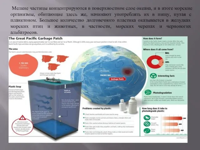 Мелкие частицы концентрируются в поверхностном слое океана, и в итоге морские организмы,