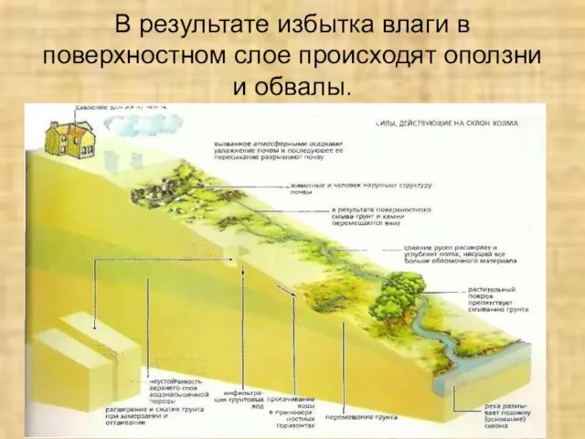 В результате избытка влаги в поверхностном слое происходят оползни и обвалы.