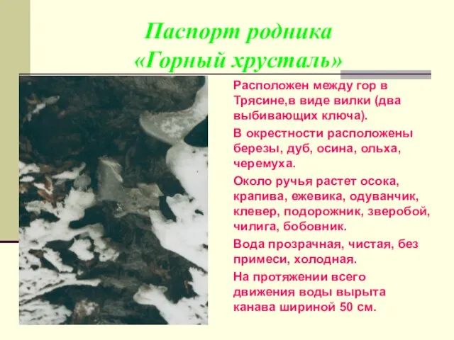 Паспорт родника «Горный хрусталь» Расположен между гор в Трясине,в виде вилки (два